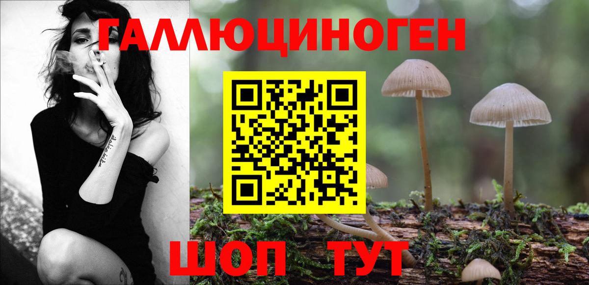 Североморск  Псилоцибиновые грибы GOLDEN TEACHER  Вход с VPN 