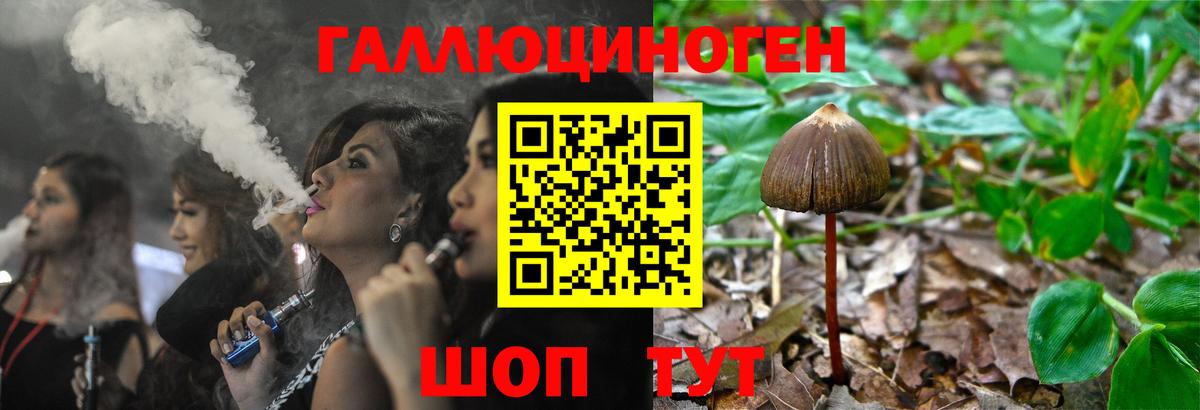 Псилоцибиновые грибы Magic Shrooms Североморск
